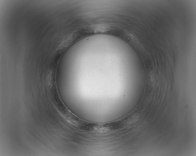 X0000054400311200508121706