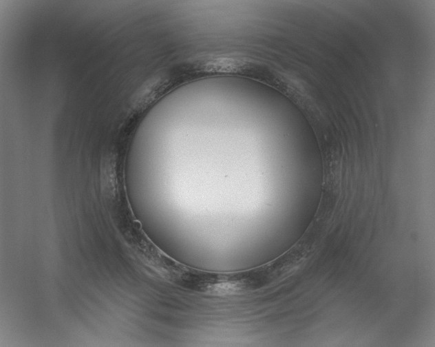 X0000054400312200508121706