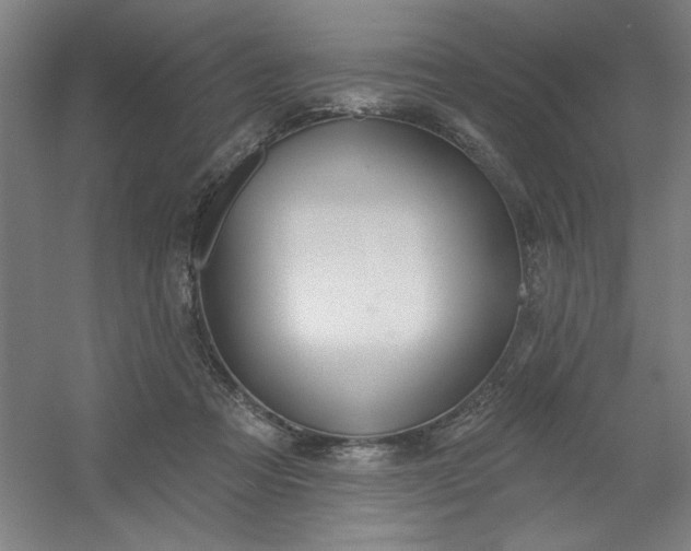 X0000054400313200508121706