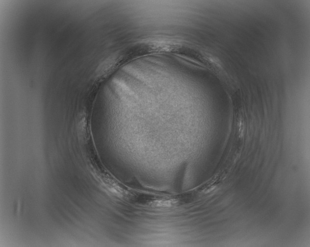 X0000054400314200508121706