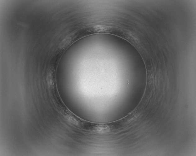 X0000054400317200508121706