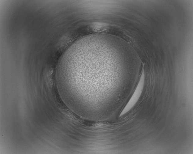 X0000054400319200508121706