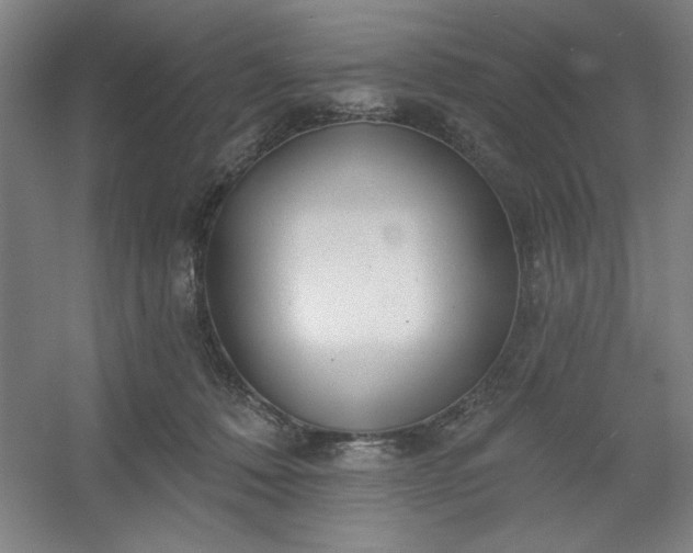 X0000054400320200508121706