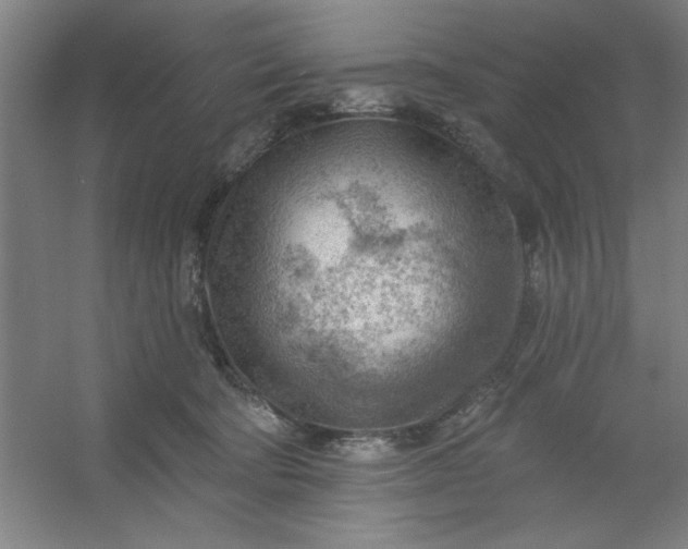 X0000054400322200508121706