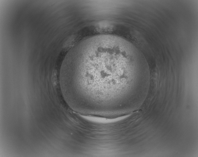 X0000054400323200508121705