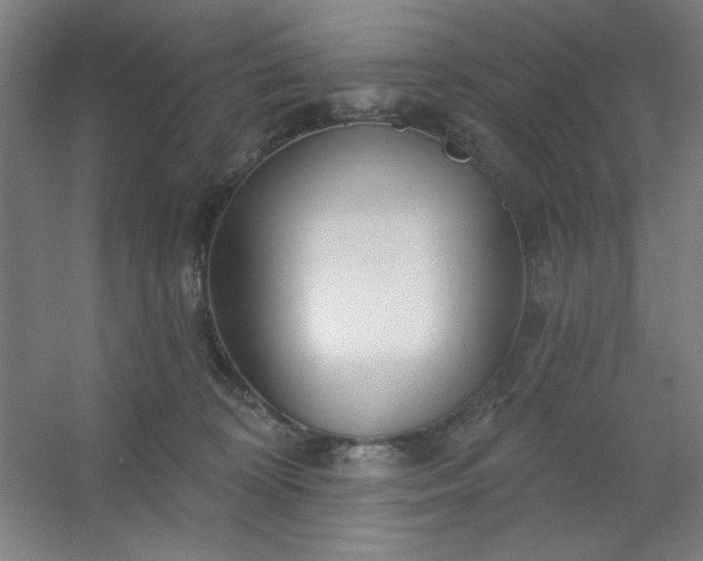 X0000054400324200508121705