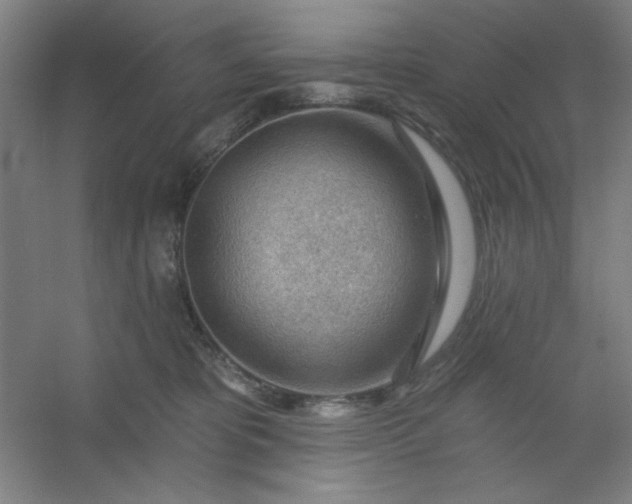 X0000054400325200508121705