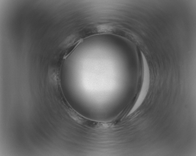 X0000054400329200508121705