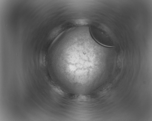 X0000054400330200508121705