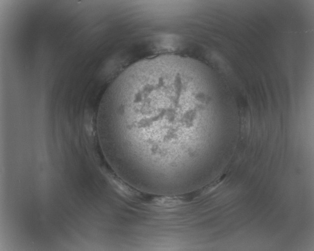 X0000054400331200508121705