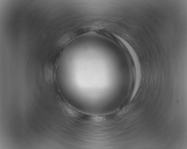 X0000054400333200508121705