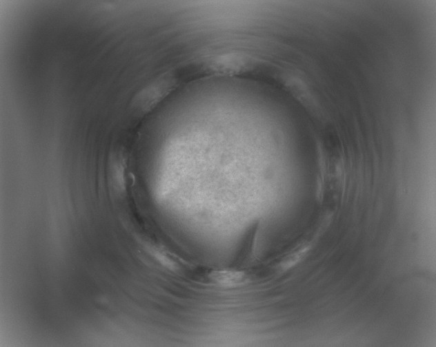 X0000054400334200508121705