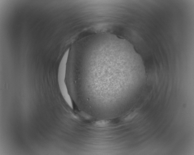 X0000054400335200508121705