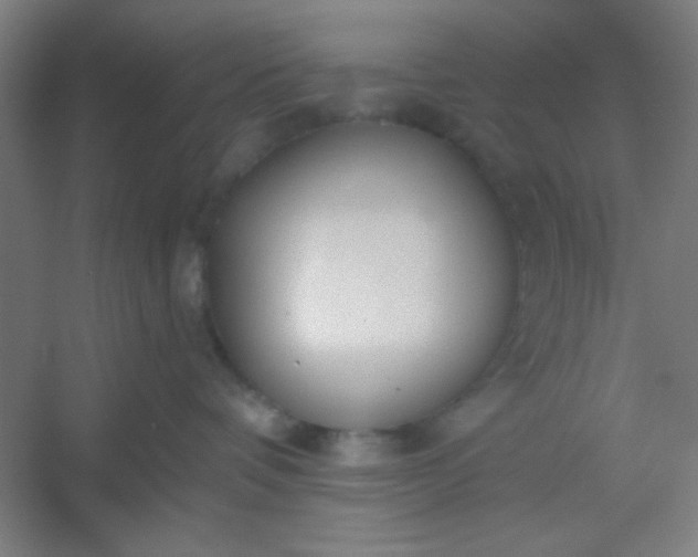 X0000054400336200508121705