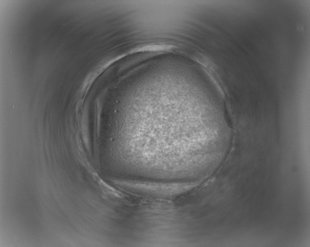 X0000054400337200508121704