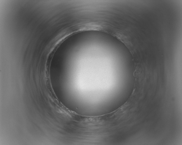 X0000054400338200508121704