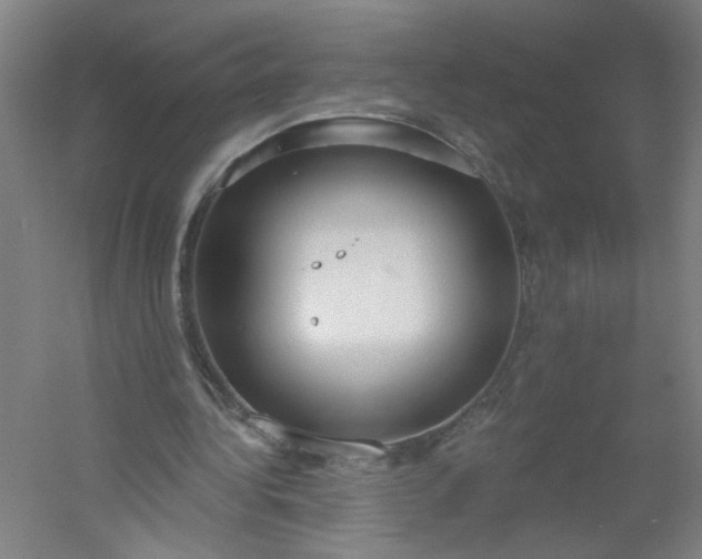 X0000054400340200508121705