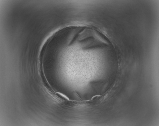 X0000054400342200508121705