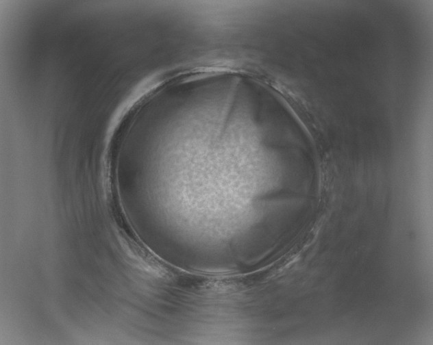 X0000054400343200508121705