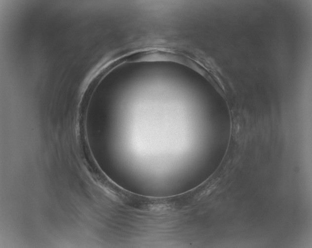 X0000054400344200508121705