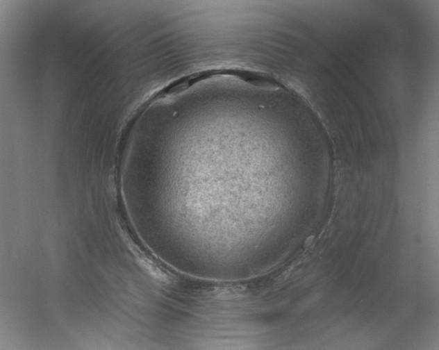 X0000054400345200508121705