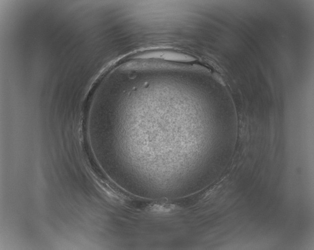 X0000054400346200508121705