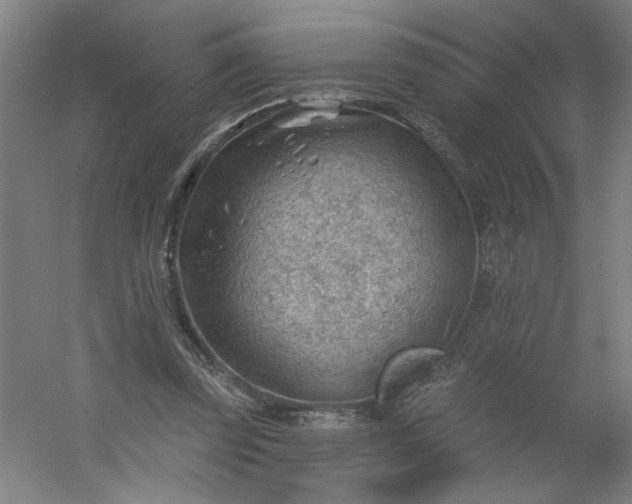 X0000054400347200508121705