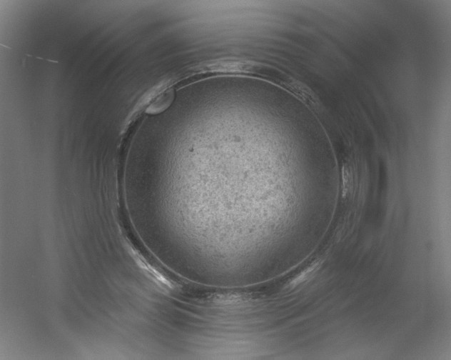 X0000054400349200508121705