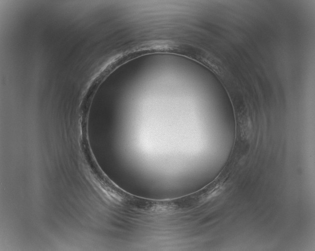 X0000054400350200508121705