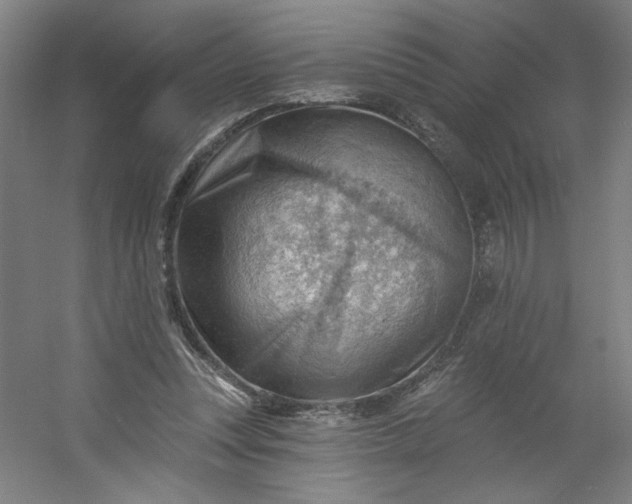 X0000054400351200508121705