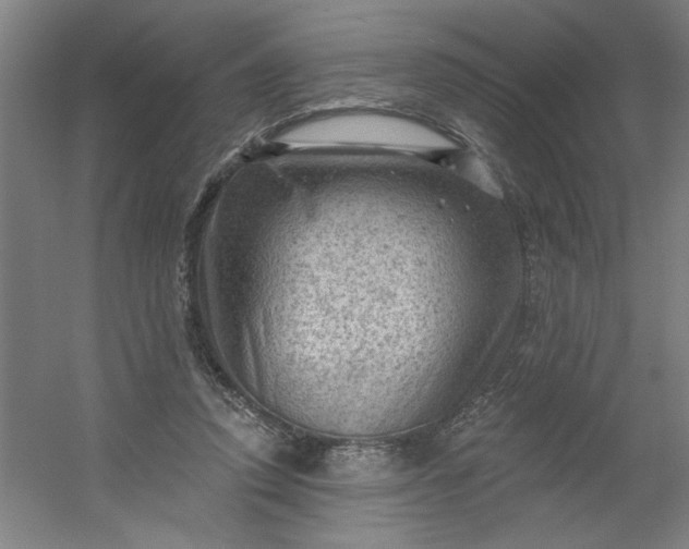 X0000054400354200508121705