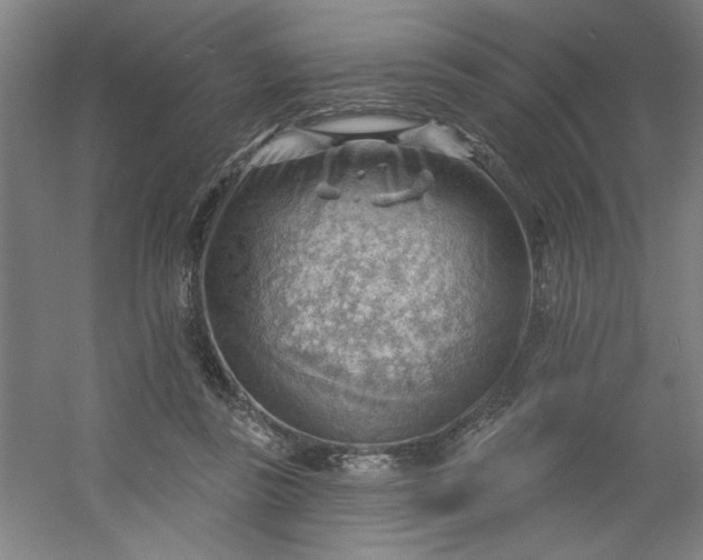 X0000054400355200508121705