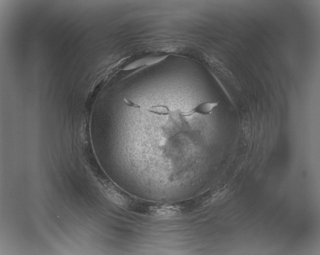 X0000054400359200508121705