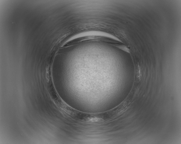 X0000054400360200508121705