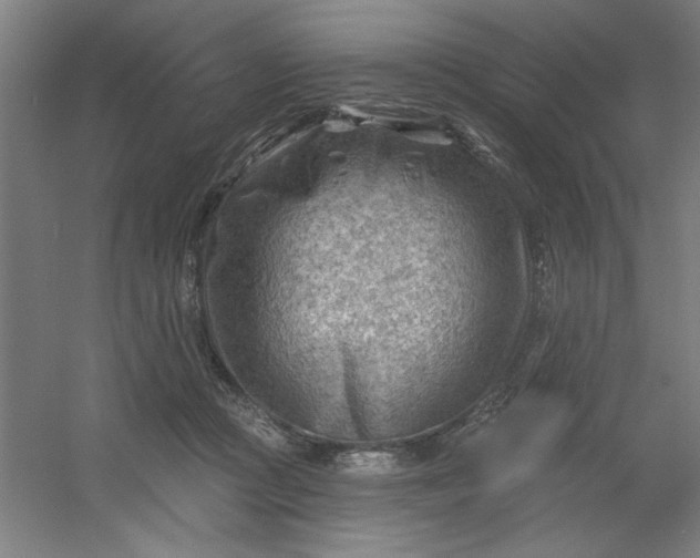 X0000054400361200508121705