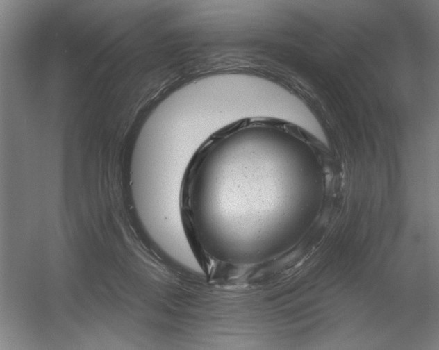 X0000054400362200508121705