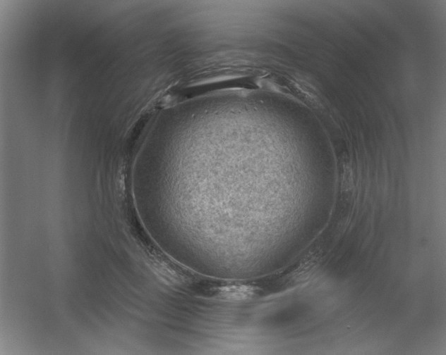 X0000054400363200508121705