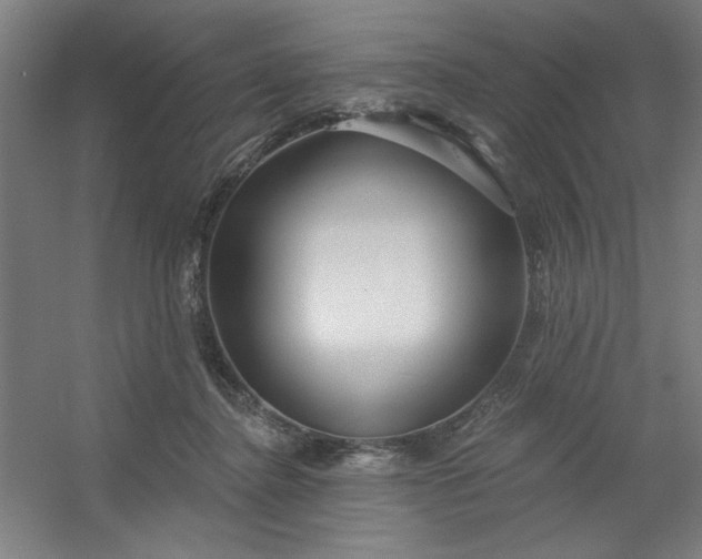 X0000054400364200508121705