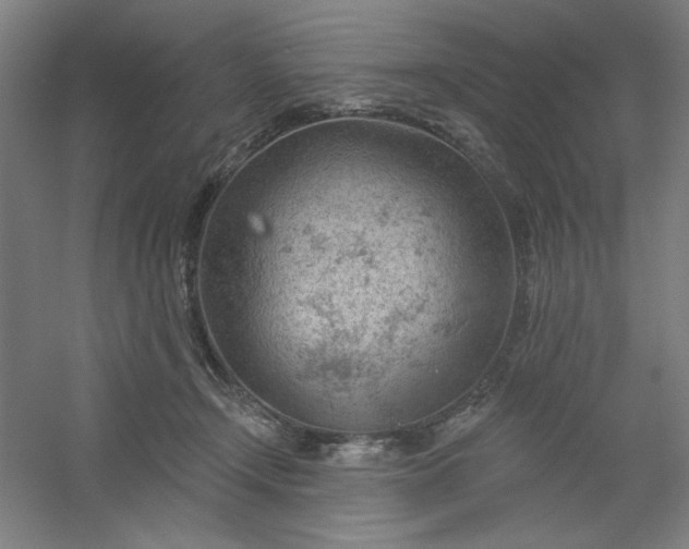 X0000054400366200508121705