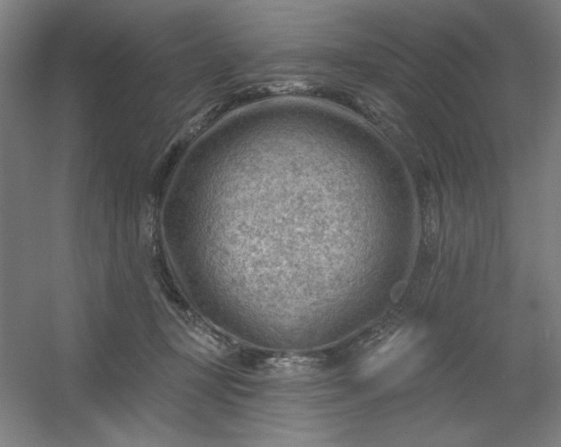 X0000054400367200508121705