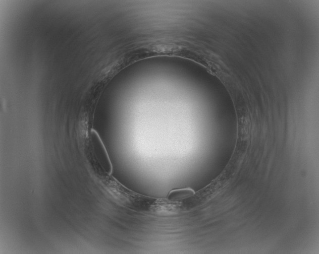 X0000054400368200508121705