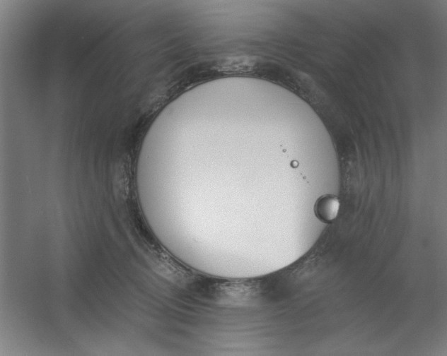 X0000054400370200508121705