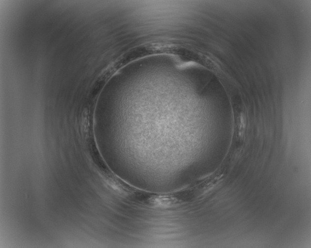 X0000054400372200508121705