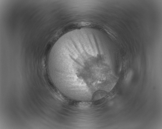 X0000054400373200508121705