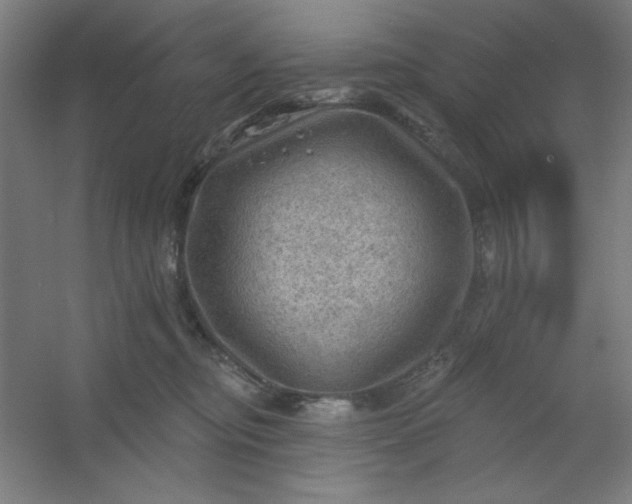 X0000054400374200508121705