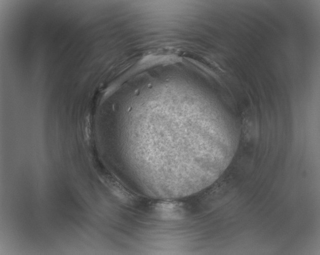 X0000054400375200508121705