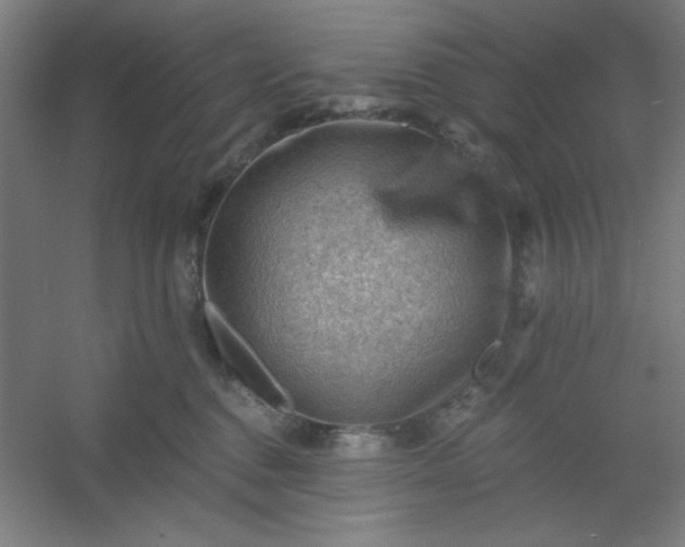 X0000054400376200508121705