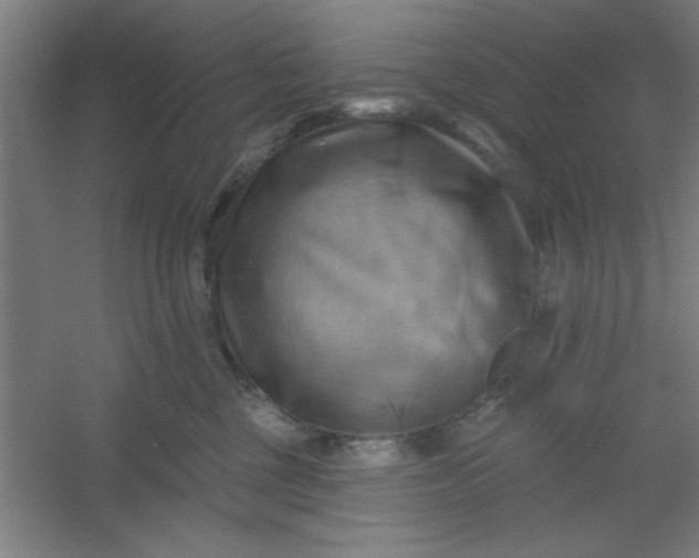 X0000054400377200508121705