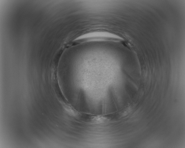 X0000054400379200508121705