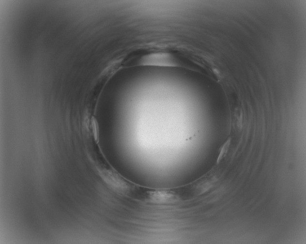 X0000054400380200508121705